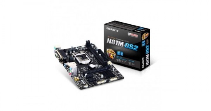 Gigabyte Genuine GA-H81M-DS2 Micro ATX Motherboard